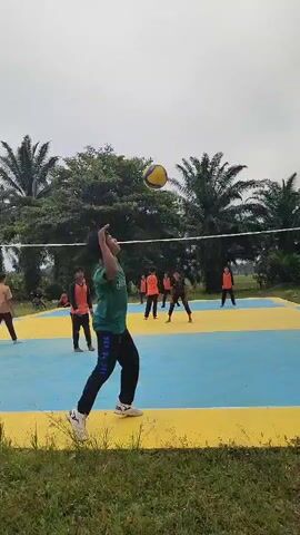 A group of people is playing volleyball on an outdoor court. The court is painted blue with yellow borders. A white net divides the court. Several players are on each side of the net. One player in a green shirt is in the foreground, facing away from the camera, preparing to hit the ball. Other players are in various positions on the court, some facing the ball and others moving. Palm trees and other foliage are visible in the background, under an overcast sky. The overall scene suggests a casual game of volleyball being played in a tropical or subtropical environment.