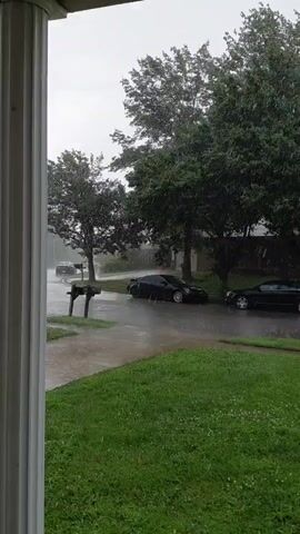 A video captures a downpour of rain falling on a residential street. Two cars, a black sedan and a dark-colored sports car, are parked on the street in the foreground. A mailbox stands near the curb. Further down the street, another black sedan is parked. In the distance, a red car drives down the street. The sky is overcast and the trees are green. The video is filmed from the perspective of someone on a porch, with a white pillar visible in the foreground.