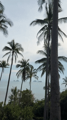 Tropical coastal scenery documented in Baan Taling Ngam, Thailand