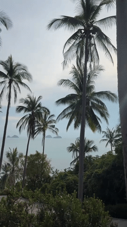 Tropical coastal scenery documented in Baan Taling Ngam, Thailand