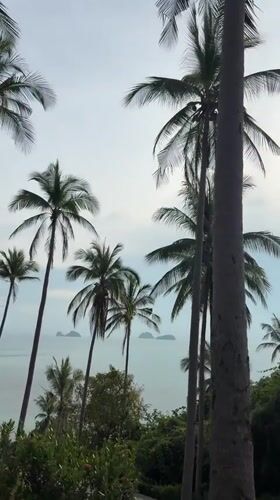 Tropical coastal scenery documented in Baan Taling Ngam, Thailand