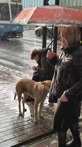 Rainy day street life documented across Vinnytsia, Ukraine