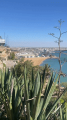Coastal panorama captured from elevated view in Safi, Morocco