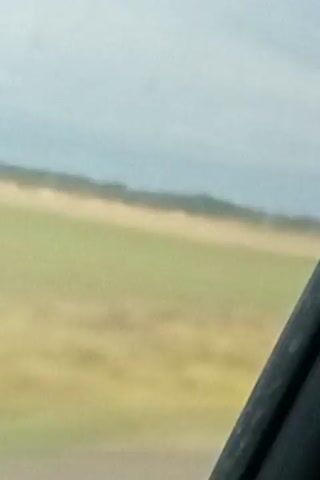 This is a shaky, out-of-focus video shot from inside a vehicle. The camera is pointing out the window at a blurry landscape. There is a dark, blurry object in the foreground on the right side of the frame, likely part of the vehicle's interior. The background shows a field of green and yellow with a line of trees in the distance. The sky is overcast and gray. Three tall, white, pole-like objects are visible in the middle ground, spaced apart. The video appears to be of someone traveling in a vehicle through a rural area.