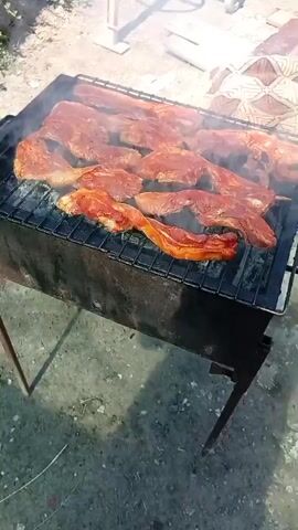 The video shows pieces of meat on a grill. The meat is covered in a reddish sauce and is smoking. The grill is over hot coals. The background is blurred, but appears to be an outdoor setting with some vegetation.