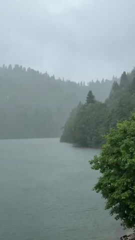 This media file captures a serene yet melancholic scene of a lake surrounded by dense, verdant forests on a rainy day. The primary subjects are the natural elements: the tranquil, grey-blue water of the lake, the lush green trees that line its edges, and the misty, tree-covered hills in the background. The weather is clearly a downpour, with visible raindrops creating ripples on the lake's surface and adding a hazy, atmospheric quality to the landscape.

The activity taking place is the rainfall itself, which imbues the scene with a sense of quietude and isolation. The light suggests it is daytime, though the overcast sky and the rain make it appear dim and muted. The location cues, such as the type of trees and the mountainous terrain, point towards a natural, perhaps remote setting, consistent with Kharistvala, Georgia. The overall mood conveyed is one of peaceful solitude, with the rain adding a touch of somber beauty. There is no visible text in the media file.