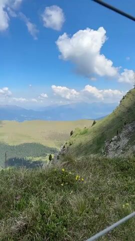 This is a vertical, first-person perspective video taken from a grassy, elevated mountain viewpoint. The foreground is dominated by lush green grass, with scattered yellow wildflowers and some dried grass stalks. In the mid-ground, a steep, grassy mountain slope descends, with rocky patches and a few scattered trees. Further in the distance, rolling green hills are visible, covered in a dense forest of dark green pine trees. Beyond the hills, layers of hazy blue mountains stretch out to the horizon. The sky is a vibrant blue, dotted with fluffy white cumulus clouds. The lighting suggests it is daytime, likely late morning or early afternoon, with a clear, sunny atmosphere. There are no people or animals visible in the video. The camera pans slowly to the left, revealing more of the expansive mountain landscape.
