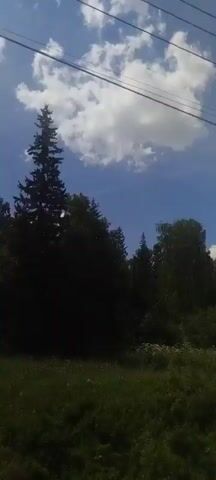 A horizontal video shows a view of trees and a grassy field under a blue sky with white clouds. In the foreground, green grass and low-lying bushes are visible. Behind the grass, a line of trees forms the middle ground, with a mix of coniferous and deciduous trees. The trees vary in height and density. In the background, the sky is a bright blue with scattered white clouds. Two dark horizontal lines, possibly power lines or wires, are visible across the top of the frame. The video appears to be filmed from a moving vehicle, as indicated by the slight parallax effect between the foreground and background elements, and the consistent horizontal framing. The lighting suggests it is daytime, likely a sunny day. There are no people or distinct objects visible besides the natural landscape and the overhead lines.