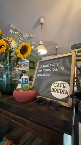 The video shows a close-up, slightly angled shot of a rustic wooden shelf. On the shelf sits a vase of sunflowers and other flowers, a small potted cactus, a pair of dark sunglasses, and a gray felt letter board. The letter board displays a quote in white letters: "LA AMABILIDAD ES UNA VIRTUD QUE SE MULTIPLICA" (Kindness is a virtue that multiplies). Below the quote, in a circular brown wooden cutout, it says "CAFE BRERIA". The background is a slightly blurred room with shelves containing books and other items, and two white pendant lights hang from the ceiling. The lighting suggests it is daytime, and the overall atmosphere is warm and cozy, typical of a cafe or bookstore. There are no people visible in the video, and no actions are taking place. The video appears to be a static shot with very subtle camera movement, possibly a slight zoom in or out.