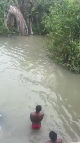The video shows several people swimming in a river. The river is murky and surrounded by green vegetation. The people swimming are mostly young men. Some people are on the banks of the river, watching the swimmers. The video is shot from a high angle.