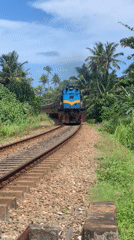 Trains and daily life along Sri Lanka's southern coastal rail line