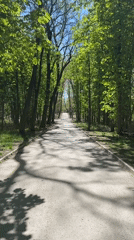 Spring blooms and clear skies observed in Sofia park