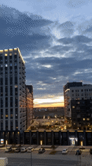 Afternoon scenes documented across Tyumen featuring buildings and Pomeranian