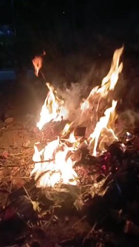 The video shows a close-up view of a bonfire at night. The flames are bright orange and yellow, casting a warm glow on the surrounding debris, which includes dry leaves, twigs, and possibly some paper. The fire appears to be burning actively, with smoke rising from the top. The background is dark, indicating the time of day. There are no people visible in the video. The overall impression is of a contained outdoor fire.