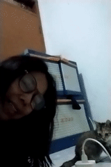 Lazy afternoon at home with kittens in Cisaat