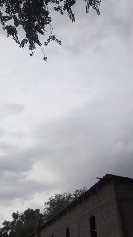 The video displays a cloudy sky. In the foreground, there are the dark silhouettes of tree branches and leaves. In the background, a building with a roof is visible. The sky is overcast with gray clouds, and the overall lighting suggests it may be daytime, possibly before or after rain. The camera appears to be looking upwards.