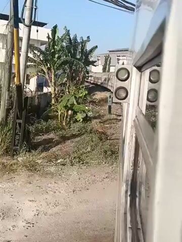 The video captures a side view from a moving vehicle, likely a train, looking outwards. In the foreground, a silver metallic surface, possibly part of the vehicle's exterior, dominates the right side of the frame. Attached to this surface are two pairs of circular, dark objects, one above the other, resembling lights or sensors. The view transitions to an outdoor scene with a dirt road on the left. Beyond the road, there are dense green banana trees and other vegetation. In the background, several white buildings are visible, along with utility poles and a network of black wires against a clear blue sky. A pedestrian bridge arches over the road in the distance. The camera's perspective suggests movement along a linear path, offering a fleeting glimpse of the passing environment.