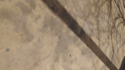 Person skateboards through Rubí park captured on multiple cameras