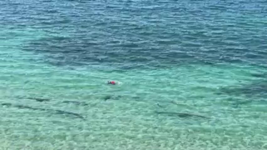 The video shows a person snorkeling in clear, turquoise water. The water is shallow enough to see the bottom, which appears to be mostly sand and some dark patches, possibly seaweed or rocks. The person is wearing a red top and snorkeling gear. The surface of the water is slightly choppy. The water further out is a darker blue color.