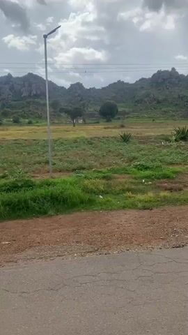 The video displays a landscape scene that appears to be in a rural area. In the foreground, there is a dirt road with some discarded trash, including plastic bags and a circular metal object resembling a manhole cover. Beyond the road is a grassy field with scattered bushes and some areas of tilled soil. In the middle ground, there is a single large tree and several smaller plants. In the background, there are rolling hills covered in rocks and vegetation. The sky is overcast with clouds. There are utility poles with wires visible in the frame. No people or animals are visible in the video. The overall impression is of an undeveloped or semi-developed natural environment.