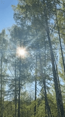 Morning moments captured in Perm: nature view, healthcare worker selfie