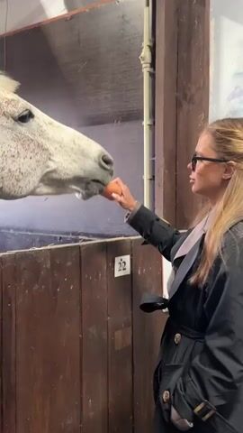 In a static, eye-level shot, a fair-skinned woman with long blonde hair pulled back and wearing black-rimmed glasses is feeding a white, speckled horse a carrot. The horse is in a wooden stall with the number "22" displayed on it. The woman is wearing a black trench coat with a grey collar detail. She stands facing the horse, holding the carrot up to its mouth. The horse gently takes the carrot from her hand. The environment appears to be a stable or barn, with a metal ceiling visible above. The lighting is somewhat dim, but adequate to clearly see the subjects.