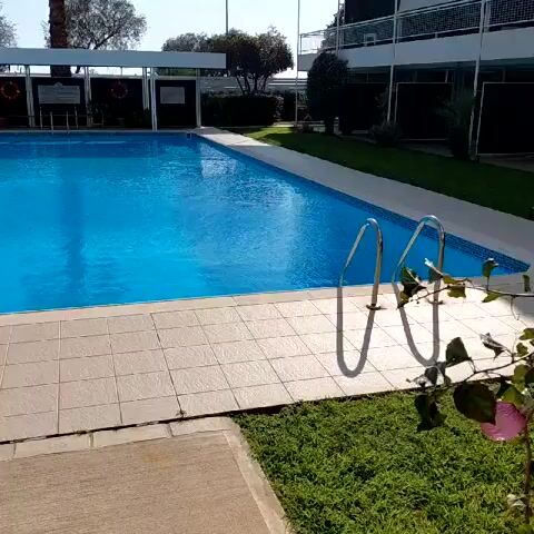 The video shows a rectangular outdoor swimming pool. The pool is filled with bright blue water and surrounded by light-colored tile. There is a set of metal stairs leading into the pool. Beyond the pool is a covered area with signs and life preservers. A Greek flag is visible in the background, along with trees and a palm tree. The sky is clear and blue. A building with multiple levels is visible in the background, on the right.