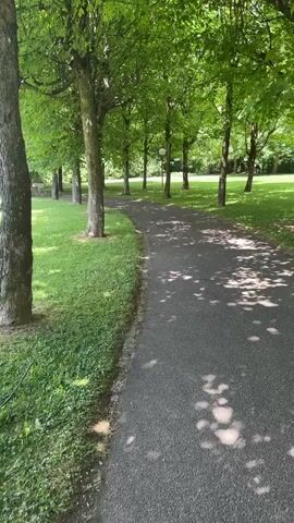 The video shows a park on a sunny day. A paved path winds through a row of trees.  Beside the path is grass, which transitions into a larger grassy field. In the distance, a tall building is visible. The sky is blue with scattered white clouds.