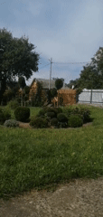 A tidy Slonim garden on a sunny summer morning