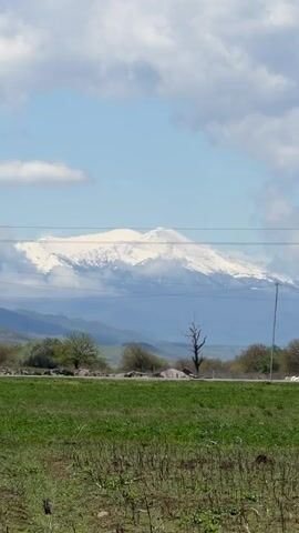 The video captures a serene daytime view of a snow-capped mountain range, likely in Meore Kesalo, Georgia. A vast, white mountain dominates the background, with some clouds clinging to its lower slopes and obscuring parts of the range. The sky above is a clear, light blue with a few scattered white clouds. In the foreground, a vibrant green field stretches across the bottom of the frame, showing signs of new growth or vegetation. Several horizontal power lines cross the mid-ground, spanning the width of the view. Between the field and the distant mountains, scattered trees and bushes are visible, including a prominent bare tree with dark branches standing tall on the right side. The camera slowly pans to the right, smoothly revealing more of the expansive mountainous landscape and the foreground elements. No people or visible text are present in the video.