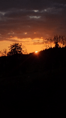 Sunset captured over St. Gallen field with silhouetted trees