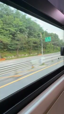 The video shows a view from a window, looking out at a road with trees and greenery on the side. There are traffic signs and utility poles visible. Several cars and a truck are seen driving on the road, blurred due to motion. The weather appears to be overcast or late afternoon, with a soft light. The window frame is dark, and a portion of the interior of the vehicle is visible in the foreground, suggesting the camera is inside a moving vehicle.