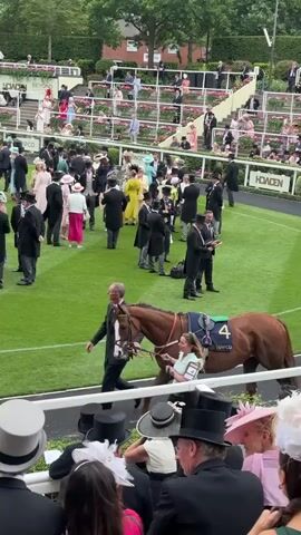 A brown horse with a saddle cloth numbered 4 is being led by handlers on a green grass field. A crowd of people, many dressed in formal attire including top hats and fascinators, watch from bleachers and the foreground. The event appears to be a horse race.