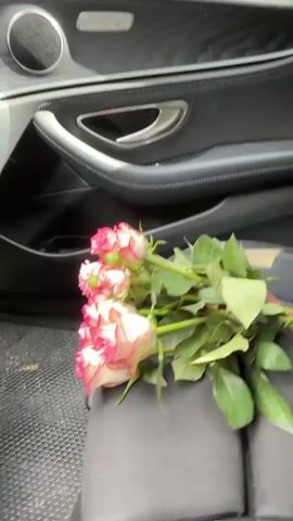 The video begins inside a car, showing a bouquet of pink and white roses resting on the passenger seat, with the car door in the background. The camera then pans to the right, revealing the view from the car window as it drives through a wooded area. The interior of the car, including the dashboard and infotainment system, is visible. A red string of beads hangs from the rearview mirror. The car continues through the trees, with the scenery outside becoming a blur of green. The video ends with a view of the dashboard and the road ahead.