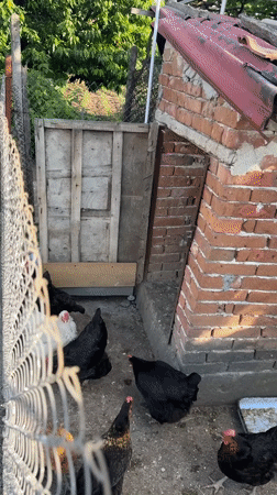 Daily life scenes captured in Bulgarian village of Radilovo