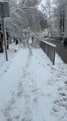 Heavy April snowfall documented in Dmitrov, Russia