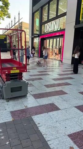 The video shows a paved outdoor walkway in front of a storefront. The storefront has a large glass entrance with the word "DRUNI" visible above it. To the left, a red scissor lift is parked on the walkway. Several people are present. A woman in a white top and denim shorts stands on the right, holding a leash attached to a small gray dog. Another small dog, possibly a terrier mix, is interacting with the first dog on the ground. A man in a blue shirt and shorts stands to the left of the dogs, looking down at them. Further to the left, a man in a dark t-shirt and tan pants walks past. In the background, several other people are visible near the storefront entrance. The ground is wet, suggesting it may have recently rained. The lighting indicates it is daytime.