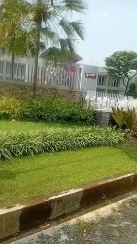 A video captures a view of a landscaped area with a building in the background. The foreground shows a well-maintained lawn and garden beds filled with various plants, including tall, thin green plants and some with broader leaves. A concrete drainage ditch runs along the bottom edge of the frame. Behind the garden, a water feature with multiple spray jets is visible. The building behind the water feature has a modern design with large windows and a sign that appears to read "DARUM". A palm tree is prominent on the left side of the frame, with other trees and greenery surrounding the building. The sky is bright and appears to be daytime.