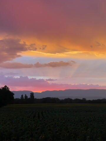A time-lapse video shows a sunset over a field of sunflowers. The sky is filled with vibrant colors of pink, orange, and purple. The sun is setting behind a range of mountains in the distance. The field of sunflowers is dark in the foreground, with rows of sunflowers visible. The clouds in the sky are moving and changing shape. The video captures the beauty of nature as the sun goes down.