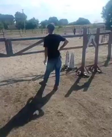 A person stands in a dirt arena, facing away from the camera. They are wearing a black t-shirt and blue jeans. To the right of the person, there are two white traffic cones and a wooden jump standard with a cutout of a horse's head. In the background, a horse and rider are approaching a jump. The horse is black and the rider is wearing a white helmet and dark clothing. The jump consists of two standards and a horizontal pole. The arena is surrounded by a wooden fence. The sky is blue with some clouds. The overall lighting suggests it is daytime. The person in the foreground appears to be watching the horse and rider.