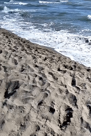 Beach memories captured in Mondragone, Italy during afternoon