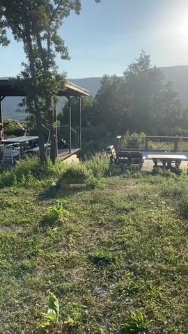 The video shows an outdoor scene with a wooden deck and furniture in the foreground, and rolling hills in the background. The sun is bright and low in the sky, suggesting it is either sunrise or sunset. There are trees and vegetation around the deck, and the overall atmosphere is peaceful and serene. The video pans slowly to the right, offering a wider view of the landscape. There are no people or animals visible in the video. The focus is on the natural beauty of the surroundings and the tranquil setting.