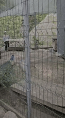 Visitors document wildlife and scenery at historic park grounds