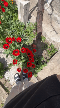 Person photographed with pet rabbit in Bulgaria village