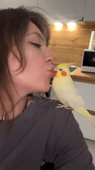 Woman bonds with pet cockatiel in Krasnoyarsk apartment