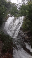 Visitor captures Datanla waterfalls moment in Lạc Dương, Vietnam