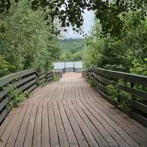 The video shows a wooden walkway leading towards a body of water surrounded by trees. The walkway has wooden railings on either side. At the end of the walkway, there appears to be a small dock or platform extending into the water. The sky is overcast. There are no people visible in the video.