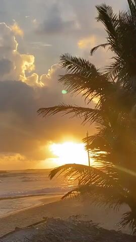 The media file depicts a serene beach scene at sunset in Hikkaduwa, Sri Lanka. The sun, a radiant orb of golden light, is the central focus, peeking through dramatic clouds that are illuminated with warm hues of yellow and orange. Silhouetted against the vibrant sky is a lush palm tree, its fronds gracefully swaying, adding a tropical element to the landscape.

The ocean meets the sandy shore with gentle waves, reflecting the warm glow of the setting sun. The beach itself appears tranquil, with hints of thatched umbrellas in the foreground, suggesting a peaceful tourist destination. The overall atmosphere is one of calm and natural beauty, evoking a sense of peace and relaxation. The time of day is clearly sunset, as indicated by the low angle of the sun and the rich colors in the sky. The weather appears to be partly cloudy, with the clouds contributing to the dramatic visual effect of the sunset. There is no visible text in the media file.