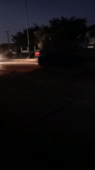 Evening traffic flows through tree-lined Jos street