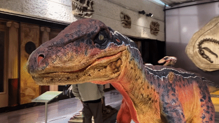 Museum tour through dinosaur and brewery exhibits in Toluca